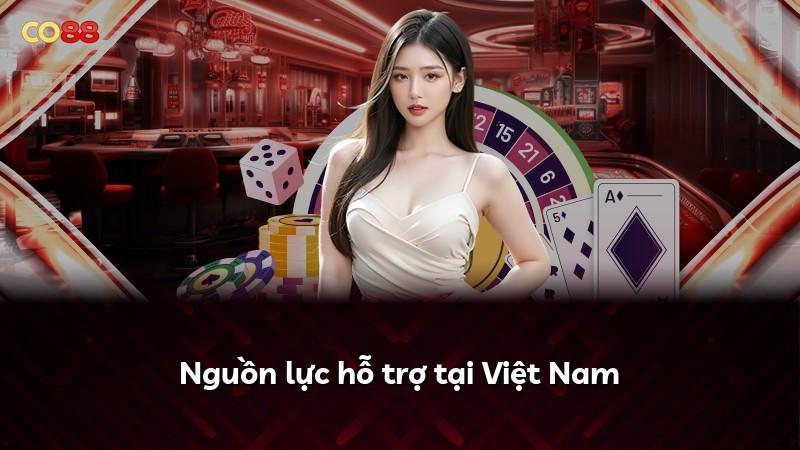 Nguồn lực hỗ trợ tại Việt Nam